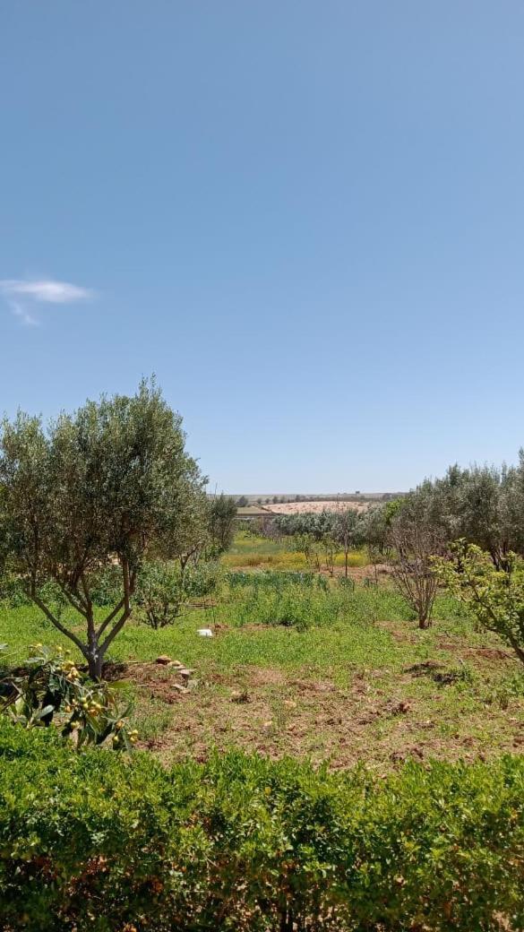 Ferme De Rayan Βίλα Σάφι Εξωτερικό φωτογραφία